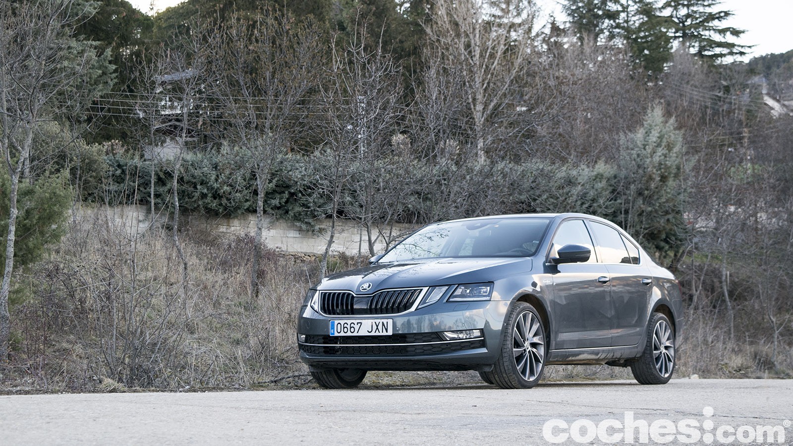 Ponemos a prueba al Skoda Octavia, una berlina que sigue teniendo mucho sentido y se postula como la más habitable del segmento. El motor 2.0 TDI 150 CV y el cambio DSG 6v son una opción equilibrada y adecuada para recorrer miles de kilómetros sin resentimientos.