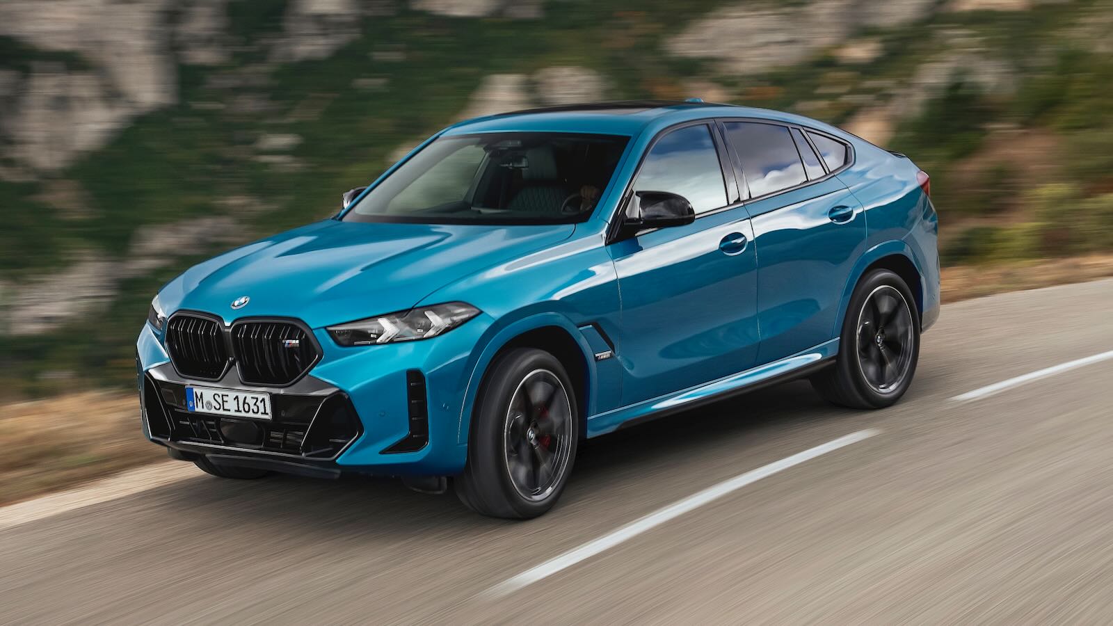 BMW X6 model