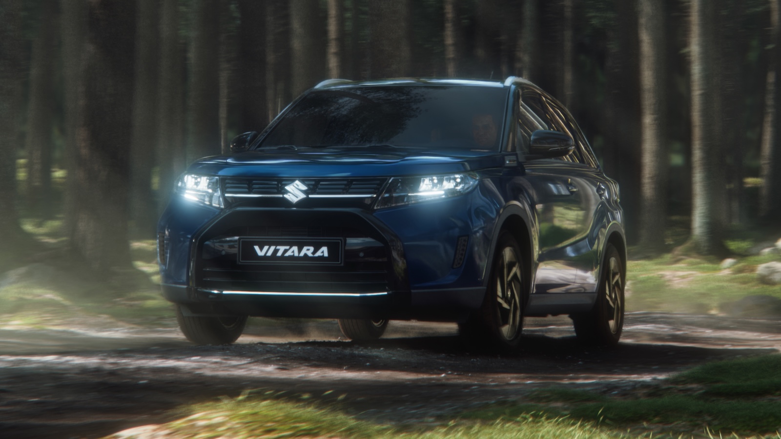 Suzuki Vitara model