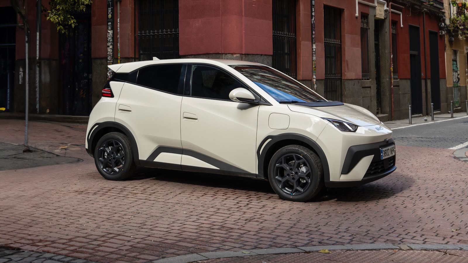 BYD Dolphin Surf model